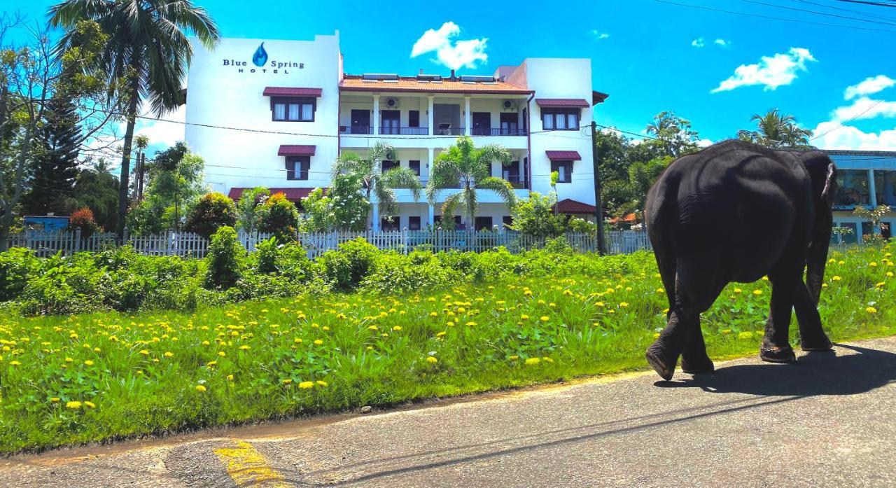 Blue Spring Hotel Wadduwa Bagian luar foto